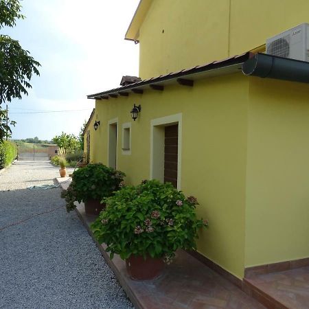 Appartamento Podere I Renai Santa Maria a Monte Ngoại thất bức ảnh
