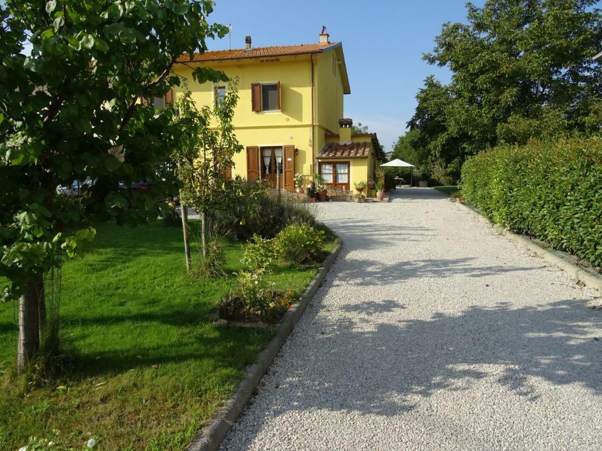 Appartamento Podere I Renai Santa Maria a Monte Ngoại thất bức ảnh